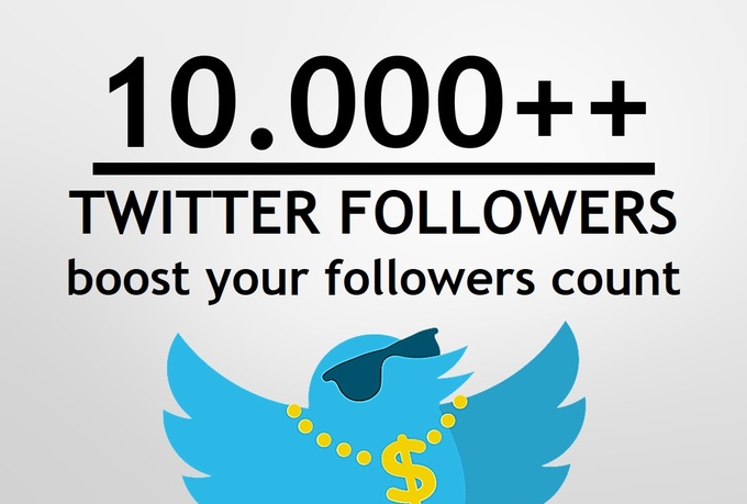 give you 10000 twitter follower within 12 hours